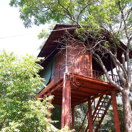 Villa Dambulla Tree House Exterior foto