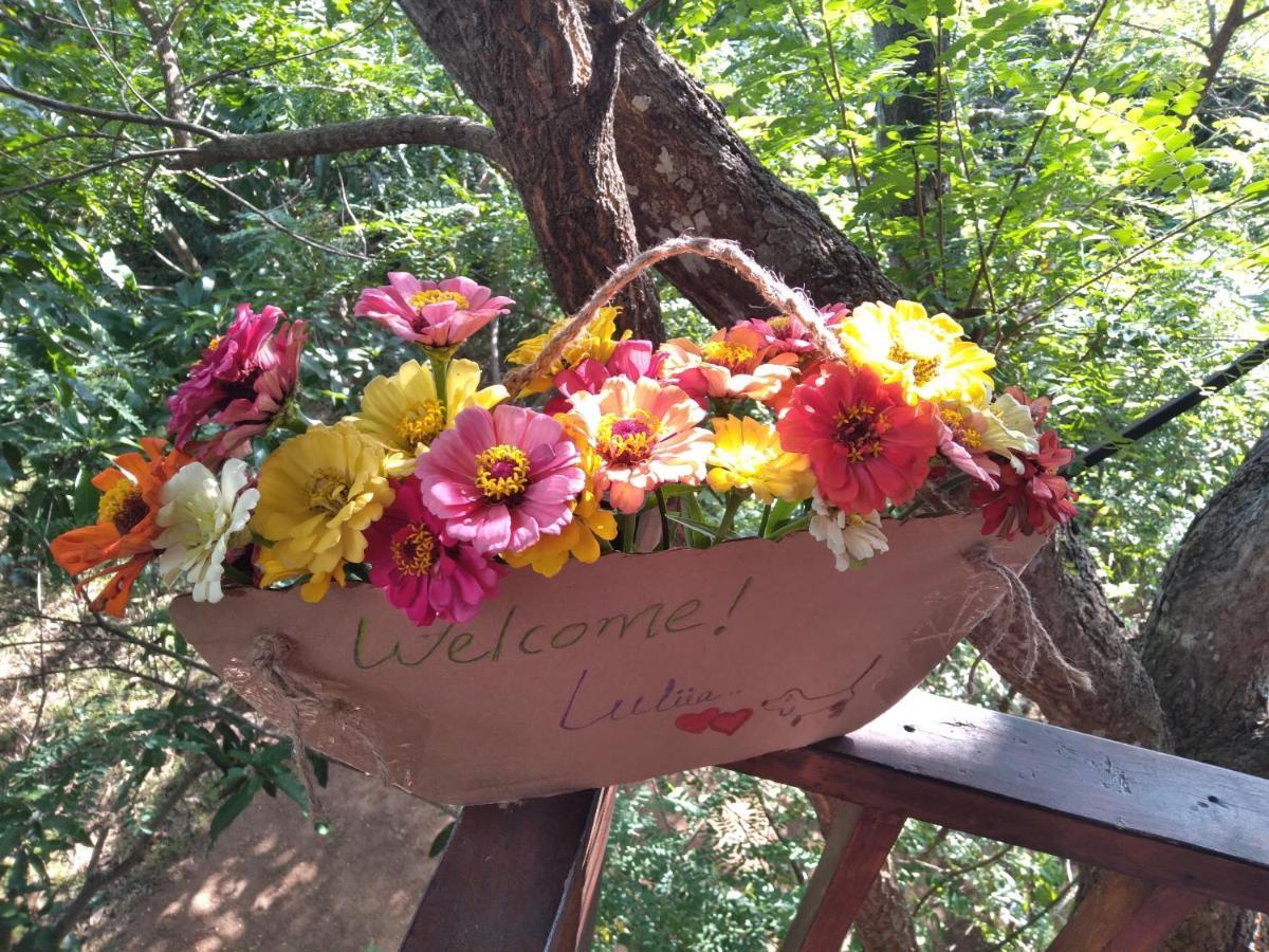 Villa Dambulla Tree House Exterior foto