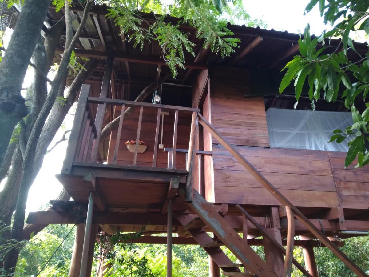 Villa Dambulla Tree House Exterior foto