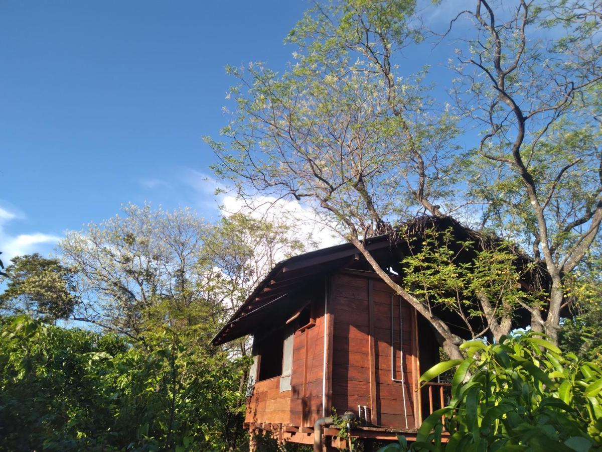 Villa Dambulla Tree House Exterior foto
