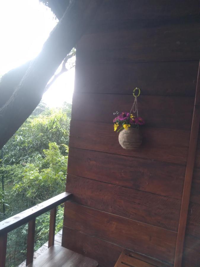 Villa Dambulla Tree House Exterior foto