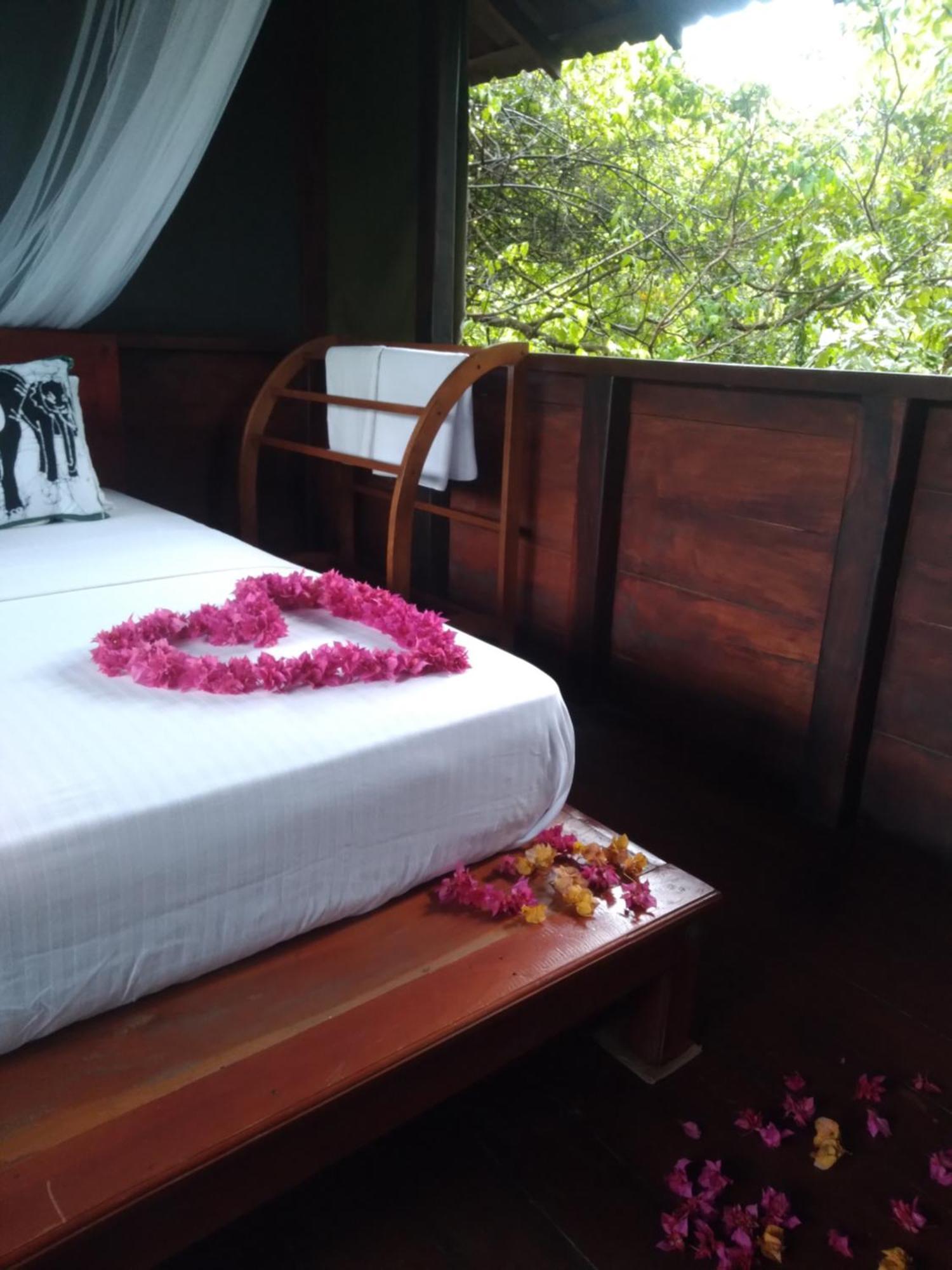 Villa Dambulla Tree House Exterior foto