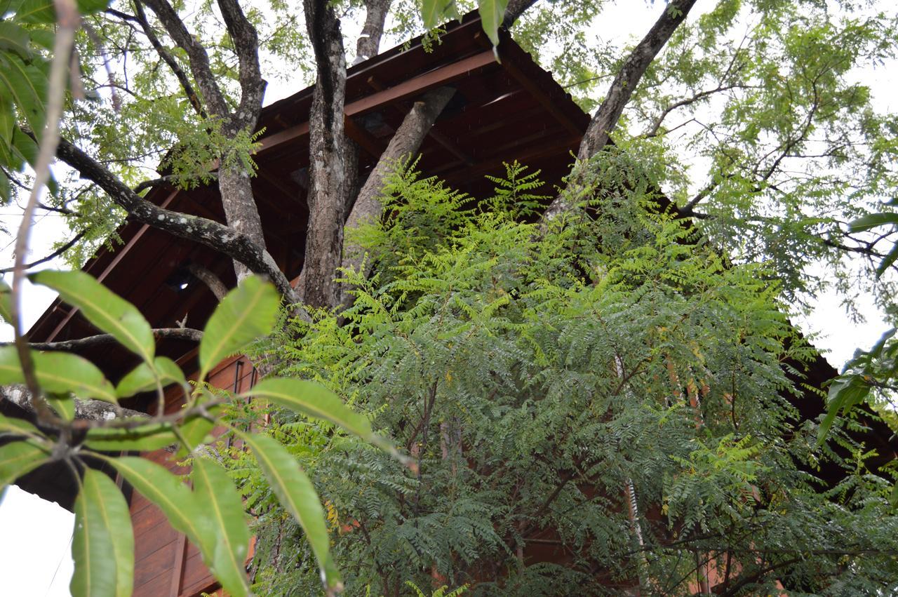 Villa Dambulla Tree House Exterior foto