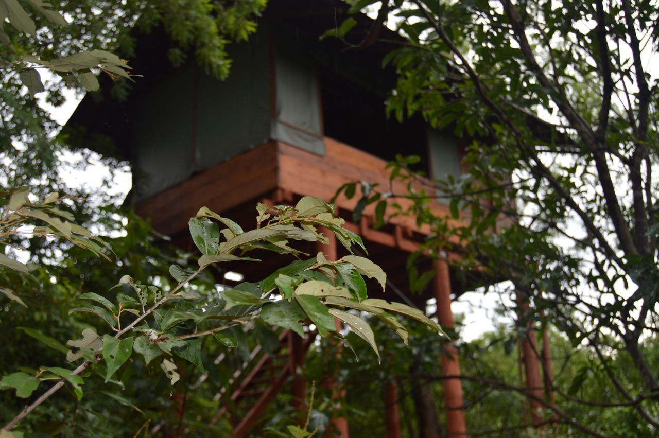 Villa Dambulla Tree House Exterior foto