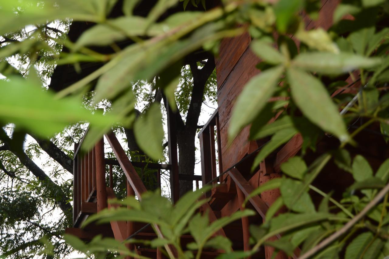 Villa Dambulla Tree House Exterior foto