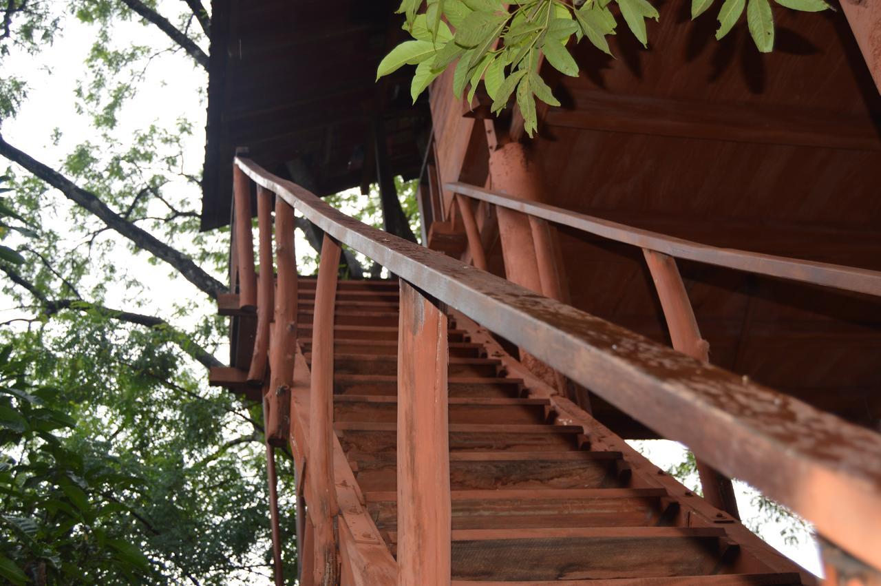 Villa Dambulla Tree House Exterior foto