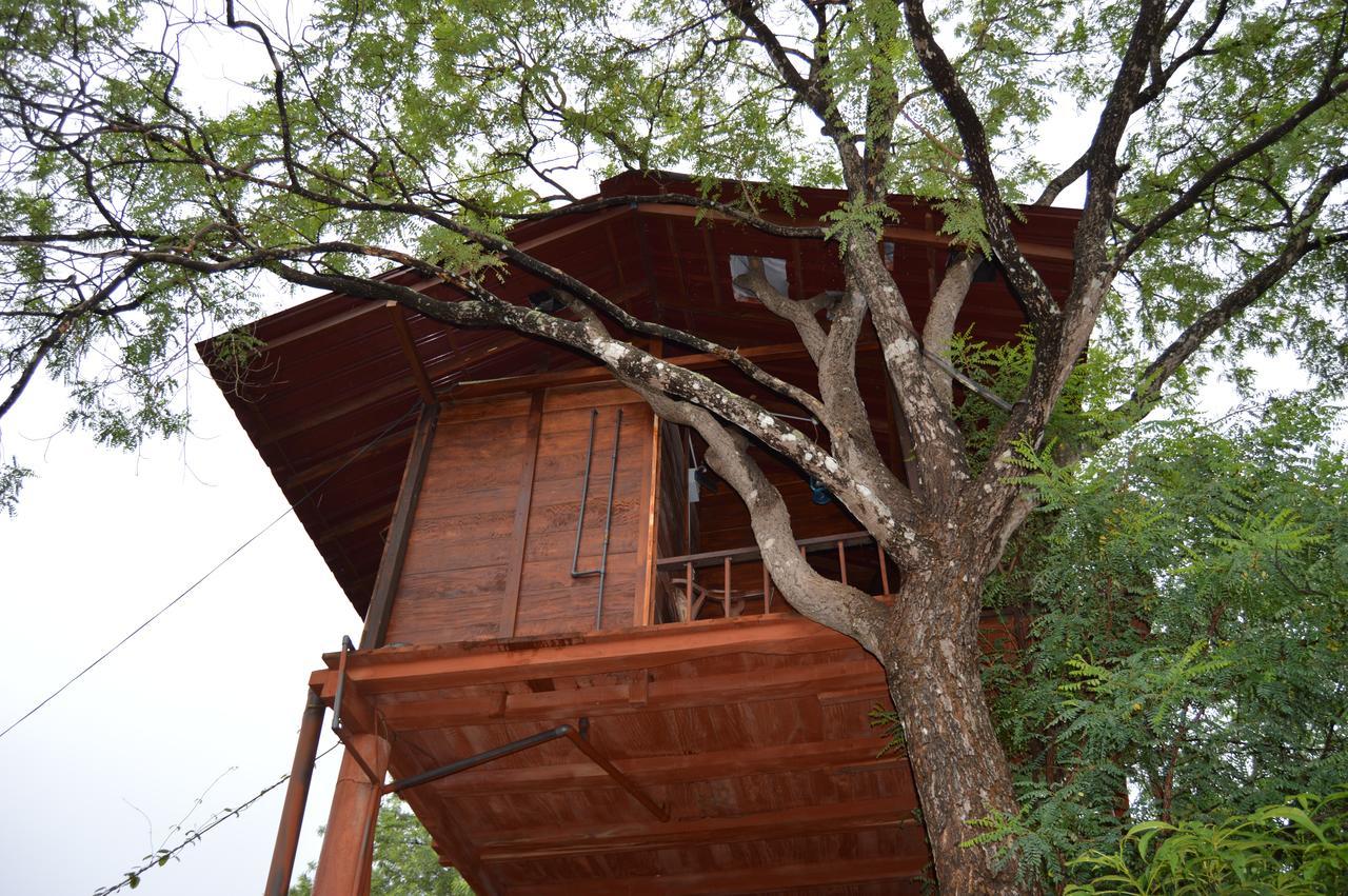Villa Dambulla Tree House Exterior foto