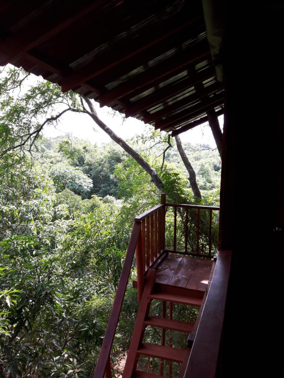 Villa Dambulla Tree House Exterior foto
