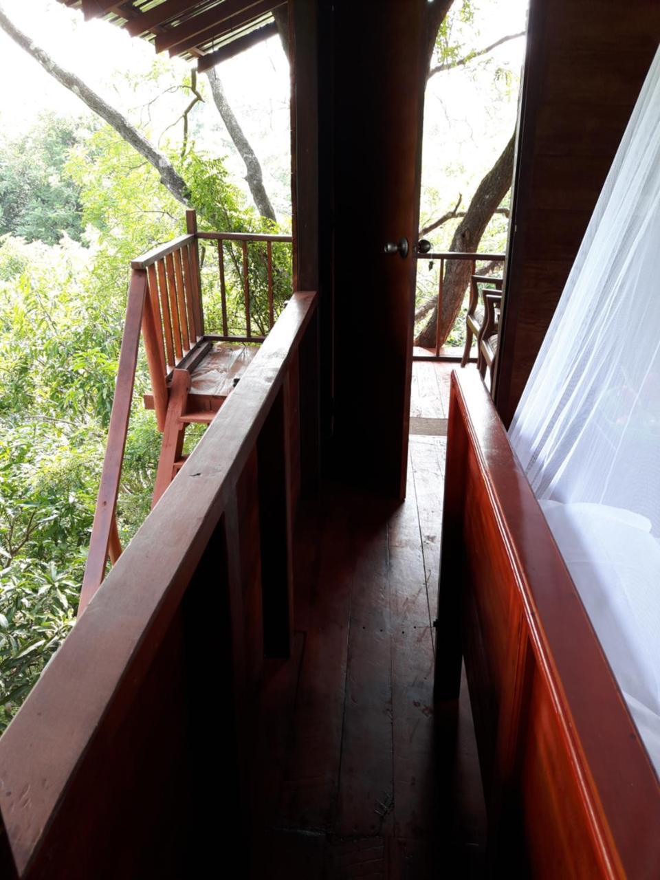 Villa Dambulla Tree House Exterior foto