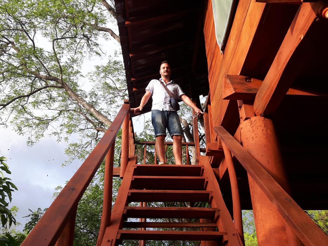 Villa Dambulla Tree House Exterior foto