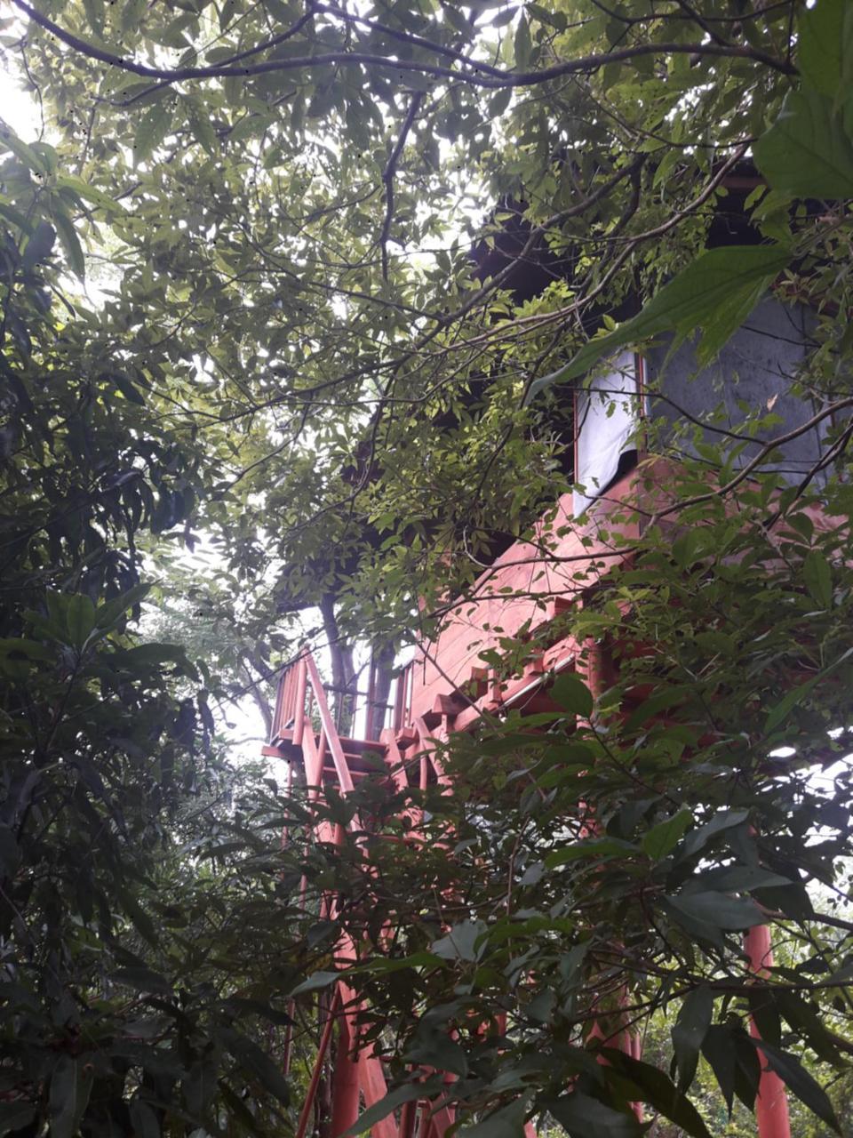 Villa Dambulla Tree House Exterior foto