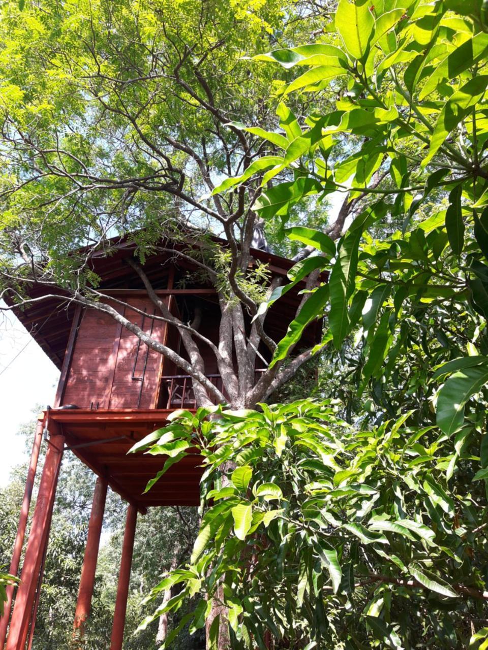 Villa Dambulla Tree House Exterior foto