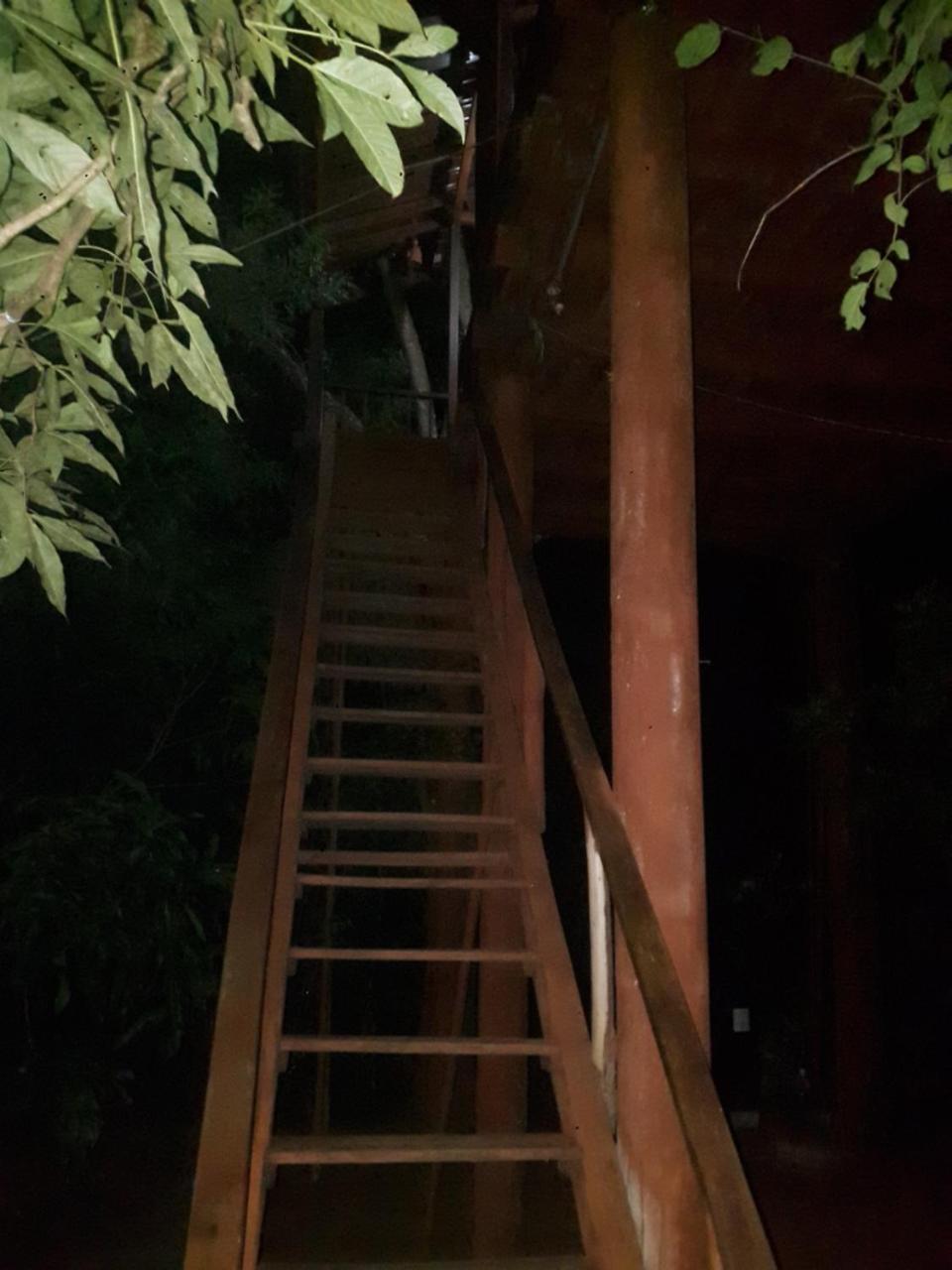Villa Dambulla Tree House Exterior foto