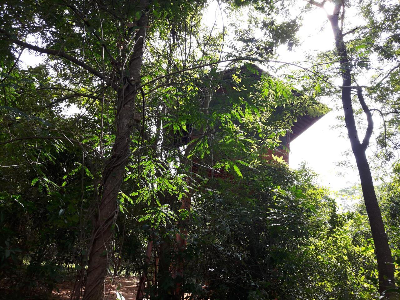 Villa Dambulla Tree House Exterior foto